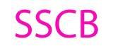 Searles Senior Communities, Inc. logo